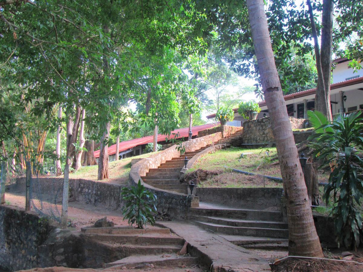 Hotel Dambulu Oya Family Park Dambulla Exterior foto