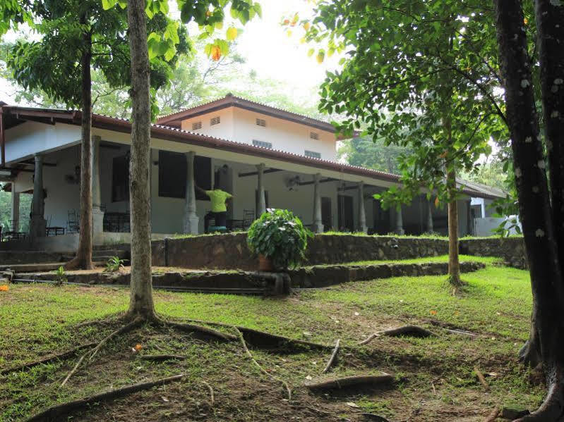 Hotel Dambulu Oya Family Park Dambulla Exterior foto