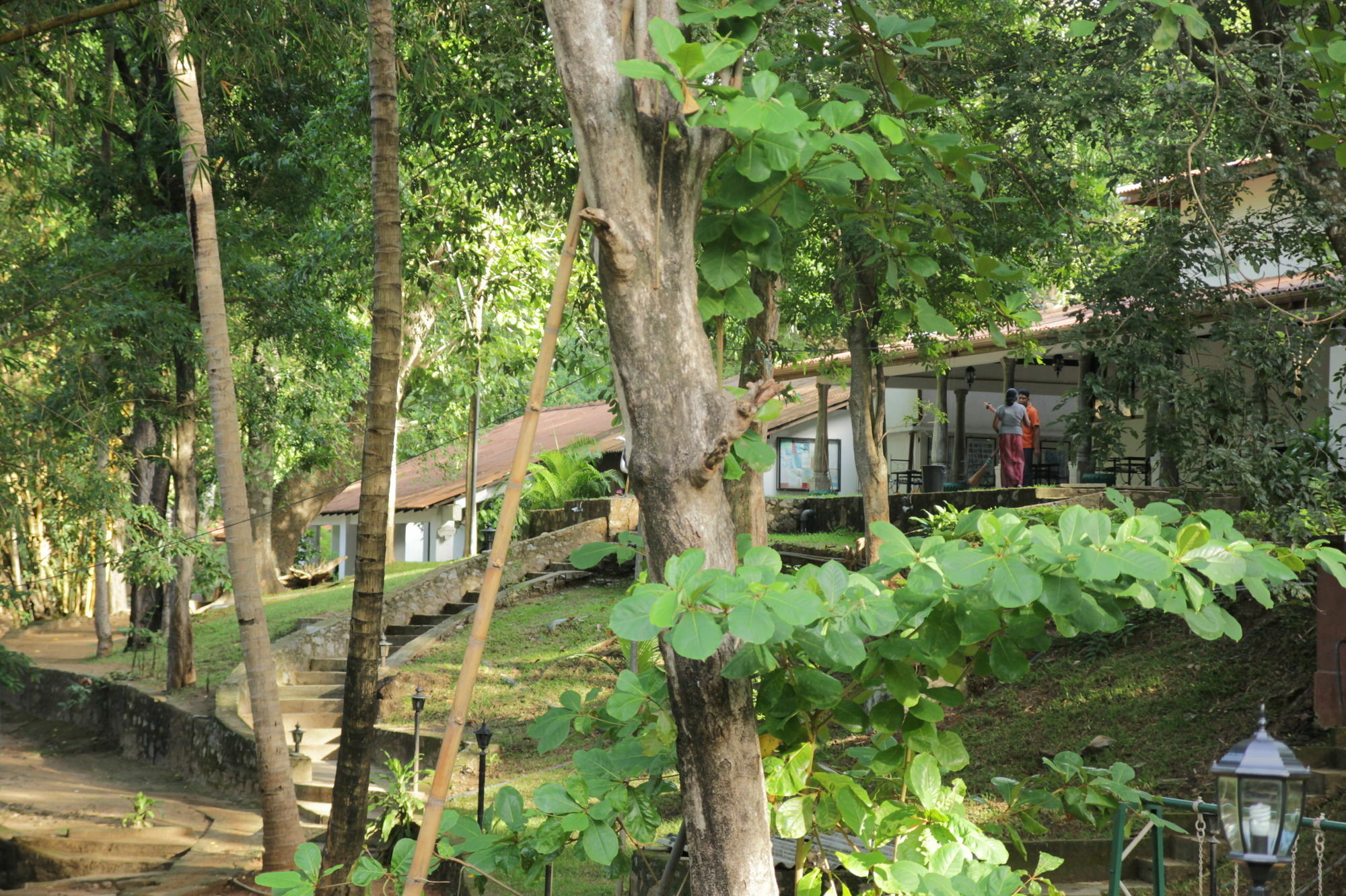 Hotel Dambulu Oya Family Park Dambulla Exterior foto